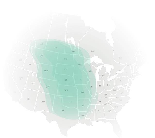 Heatmap